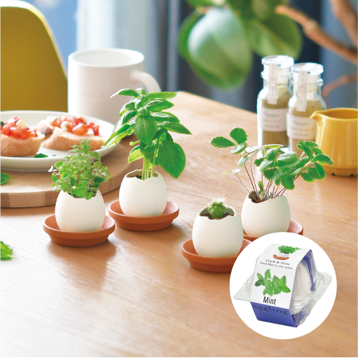 eggling CLEAR package - 聖新陶芸株式会社｜栽培キットの企画・製造・販売