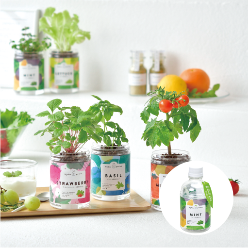 green pet - 聖新陶芸株式会社｜栽培キットの企画・製造・販売