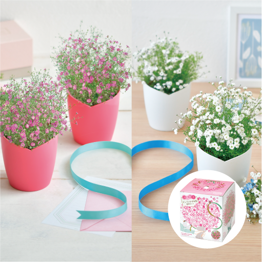 gd1021_web_2_thumbnail_510px_1