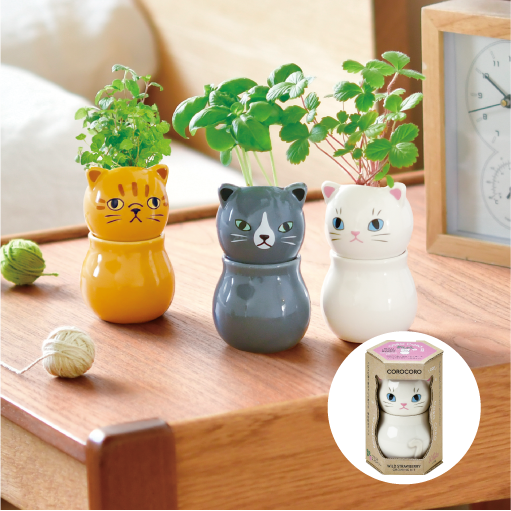 COROCORO cat - 聖新陶芸株式会社｜栽培キットの企画・製造・販売