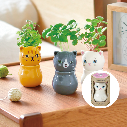COROCORO cat - 聖新陶芸株式会社｜栽培キットの企画・製造・販売
