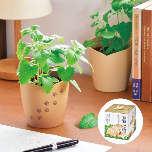 gd1027_web_1_thumbnail_510px_2