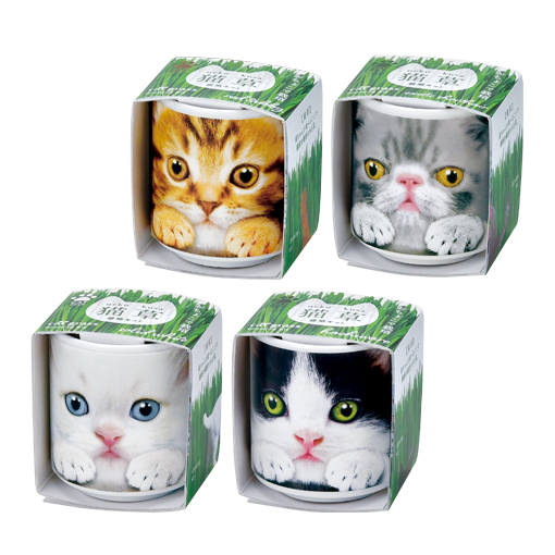 おちょこで猫草 - 聖新陶芸株式会社｜栽培キットの企画・製造・販売