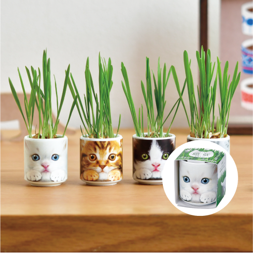 gd1029_web_1_thumbnail_510px_3