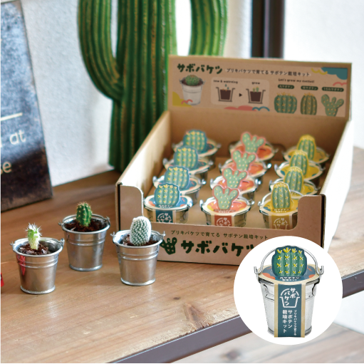 サボバケツ栽培キット - 聖新陶芸株式会社｜栽培キットの企画・製造・販売