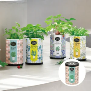 製品 アーカイブ - 聖新陶芸株式会社｜栽培キットの企画・製造・販売