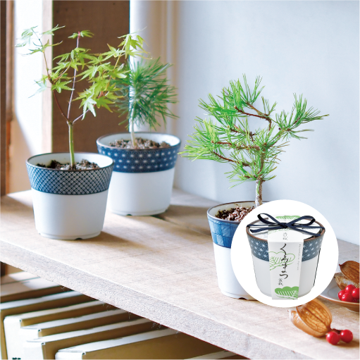 gd452_web_2_thumbnail_510px_41