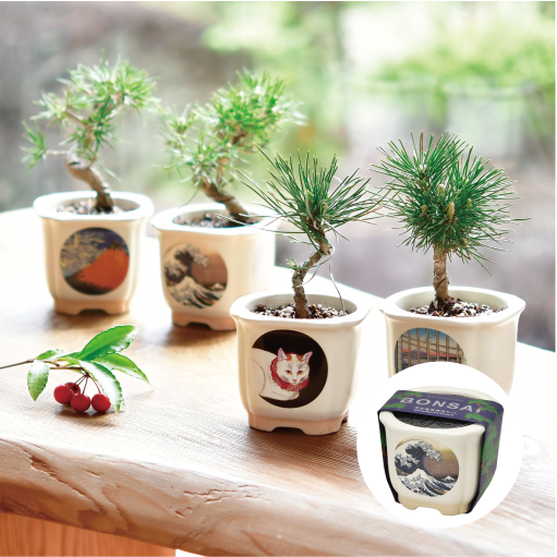 長方形陶磁盆 獣面獣釦鼓丁香炉款 盆栽鉢 植木鉢 小品盆栽鉢 大品盆栽鉢 gd640_web_2_thumbnail_510px_35