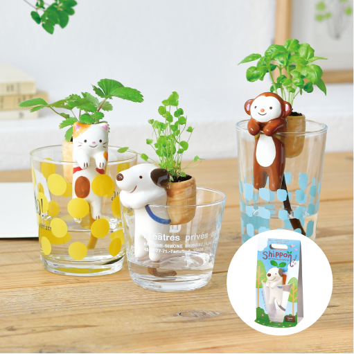 Shippon - 聖新陶芸株式会社｜栽培キットの企画・製造・販売