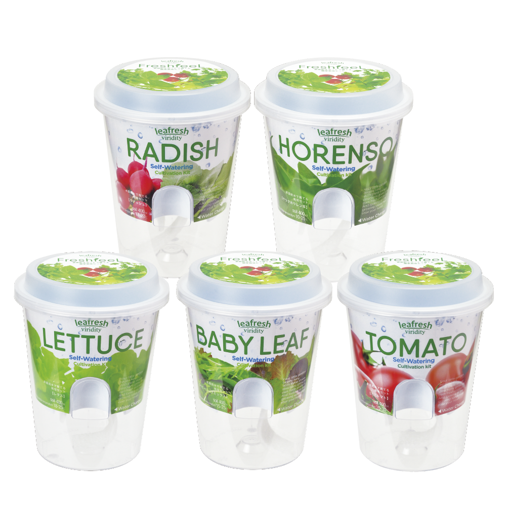 Flesh Feel - 聖新陶芸株式会社｜栽培キットの企画・製造・販売