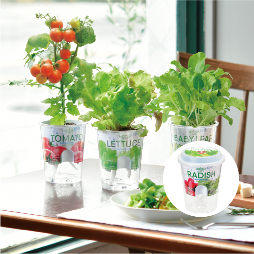 ●FRESH TONE PRODUCTIONS Flesh Feel - 聖新陶芸株式会社｜栽培キットの企画・製造・販売