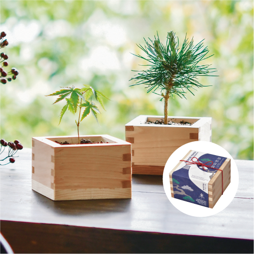 gd846_web_2_thumbnail_510px_49