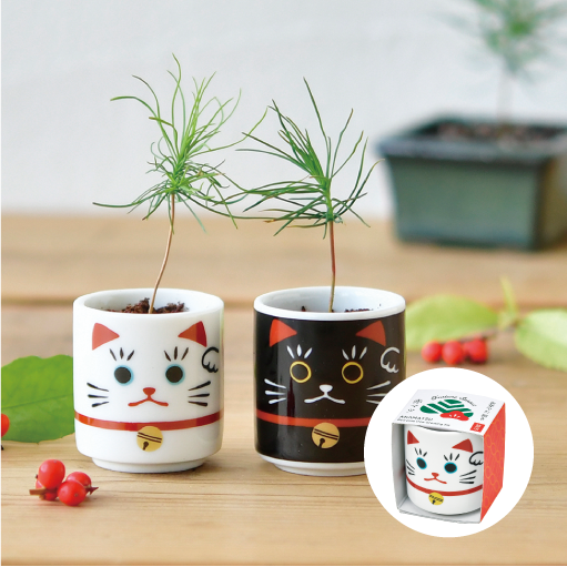 gd914_web_3_thumbnail_510px_1-