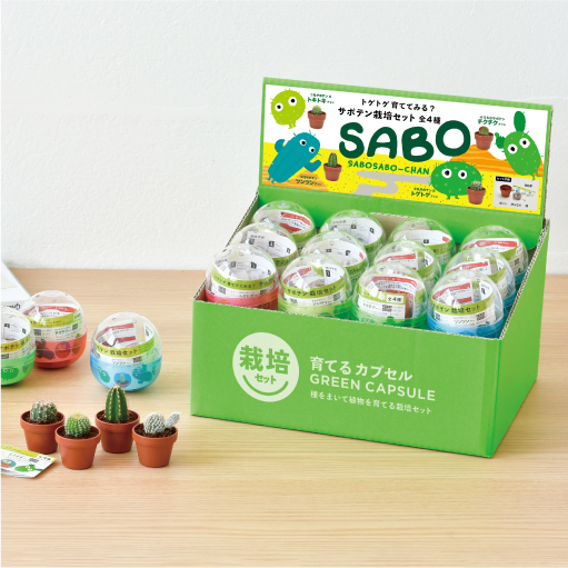 育てるカプセル サボテン - 聖新陶芸株式会社｜栽培キットの企画・製造