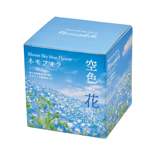 花ちゃん 出品 6枚 gd929.jpg