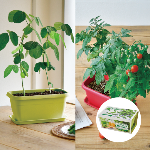 gd931_web_2_thumbnail_510px_11