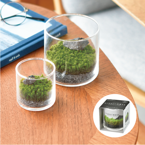 GLASST MOSS S - 聖新陶芸株式会社｜栽培キットの企画・製造・販売
