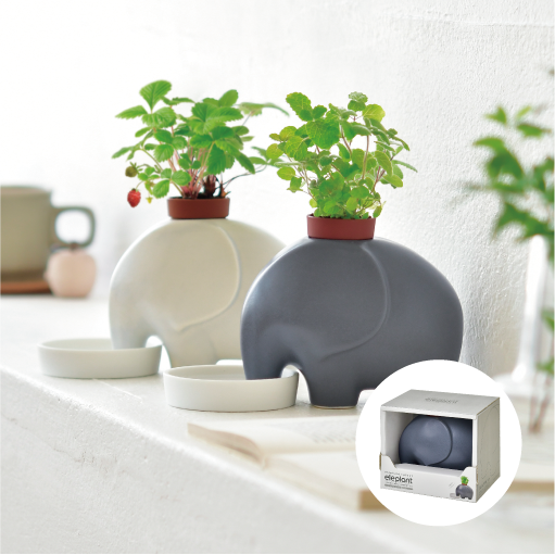 GOAT×牛乳植物 コラボ鉢 S 陶器鉢 新品未使用 eleplant - 聖新陶芸株式会社｜栽培キットの企画・製造・販売