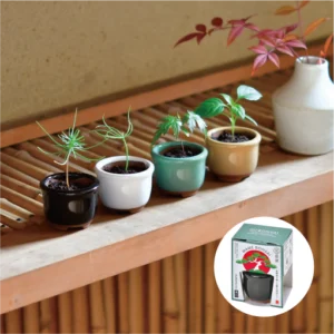 五色とうがらし アーカイブ - 聖新陶芸株式会社｜栽培キットの企画