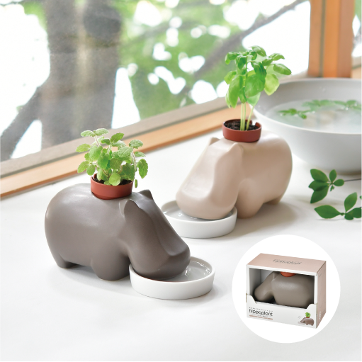 hippoplant - 聖新陶芸株式会社｜栽培キットの企画・製造・販売