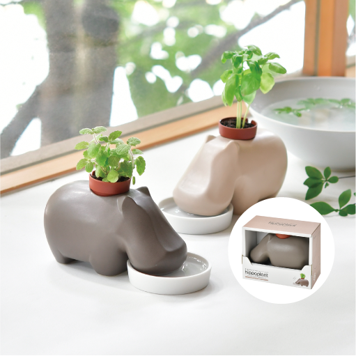 hippoplant - 聖新陶芸株式会社｜栽培キットの企画・製造・販売