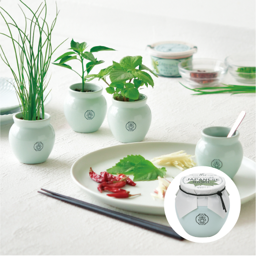 TSUBO - 聖新陶芸株式会社｜栽培キットの企画・製造・販売