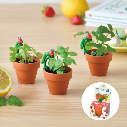 アメタマです。他の方はお控えください。ガーデンセットおまけ付き hp04_web_3_thumbnail_510px_21-