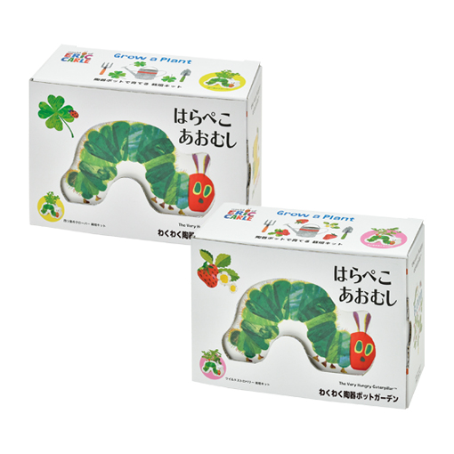 はらぺこあおむし わくわく陶器ポットガーデン - 聖新陶芸株式会社