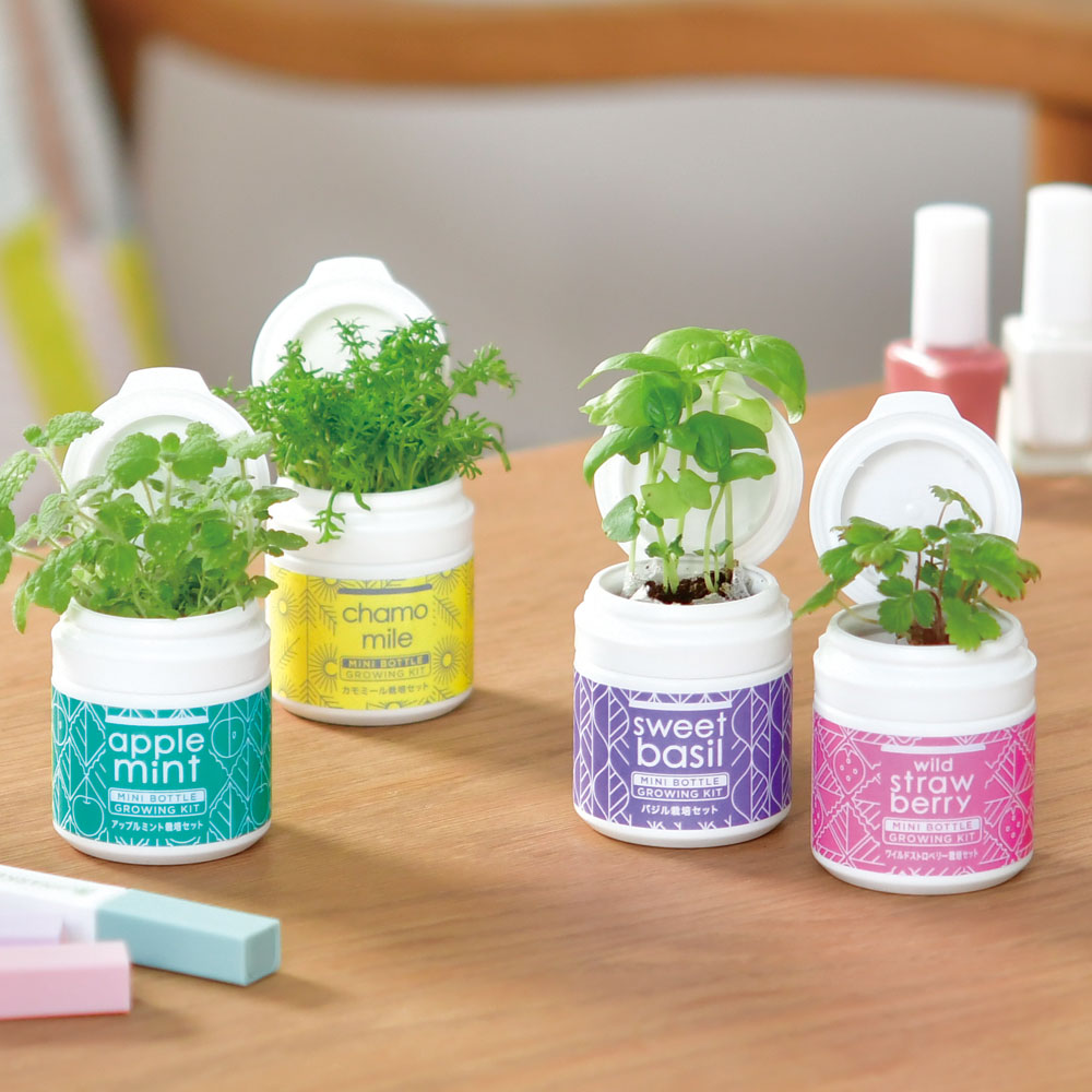 MINI BOTTLE HERBS - 聖新陶芸株式会社｜栽培キットの企画・製造・販売
