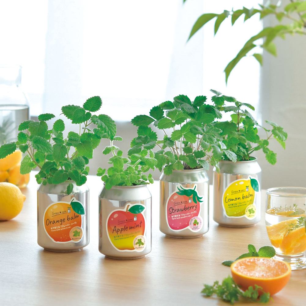 greencan - 聖新陶芸株式会社｜栽培キットの企画・製造・販売