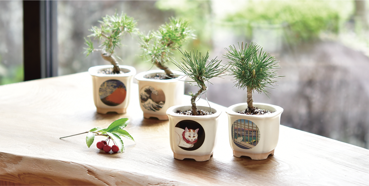 聖新陶芸株式会社｜栽培キットの企画・製造・販売