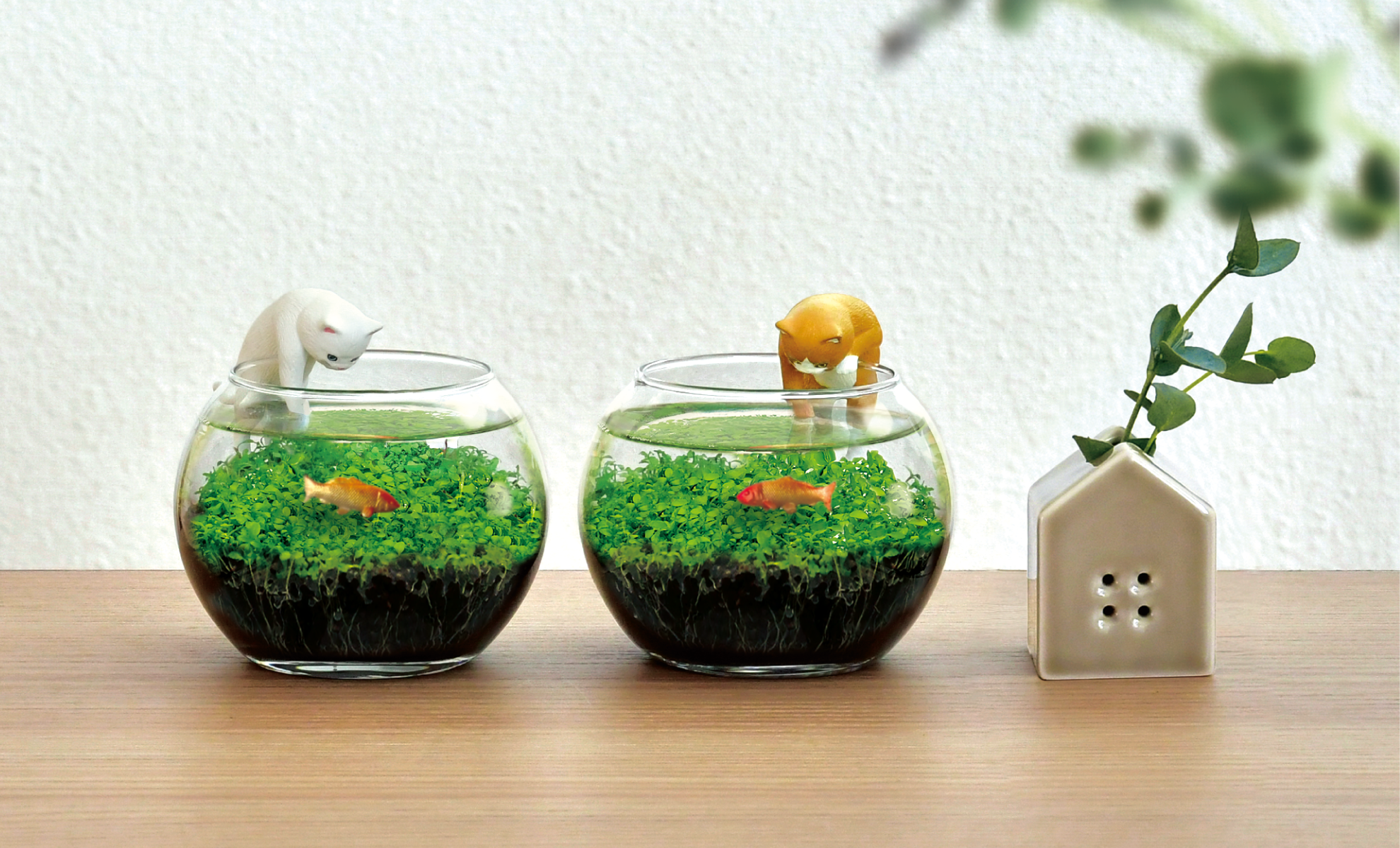 じゃれ猫水草鉢 猫フィギュア付き水草栽培キット