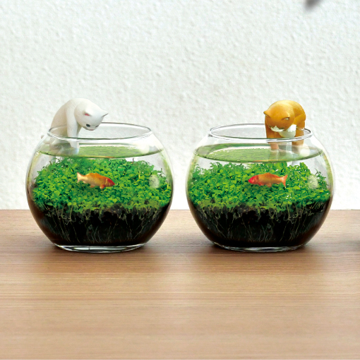 じゃれ猫水草鉢 猫フィギュア付き水草栽培キット